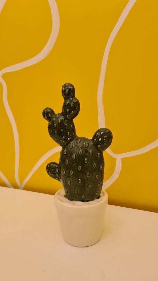 Casa Cactus Sapiddu Διαμέρισμα Παλέρμο Εξωτερικό φωτογραφία